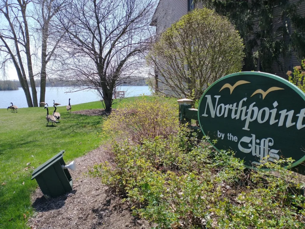 some ducks walking near a northpoint cliffs sign