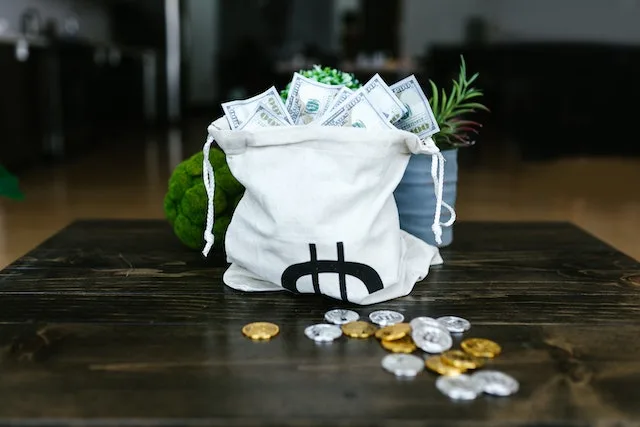a bag of cash representing the high HOA fees condo owners pay but individual homeowners do not